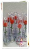 Mini Rosas no tubete